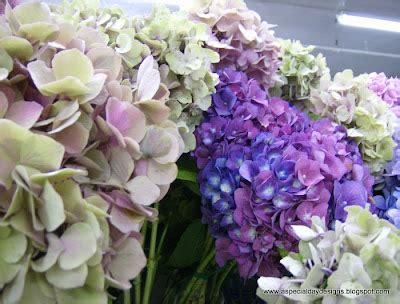 Sacramento Bulk, Wedding & DIY Flowers.